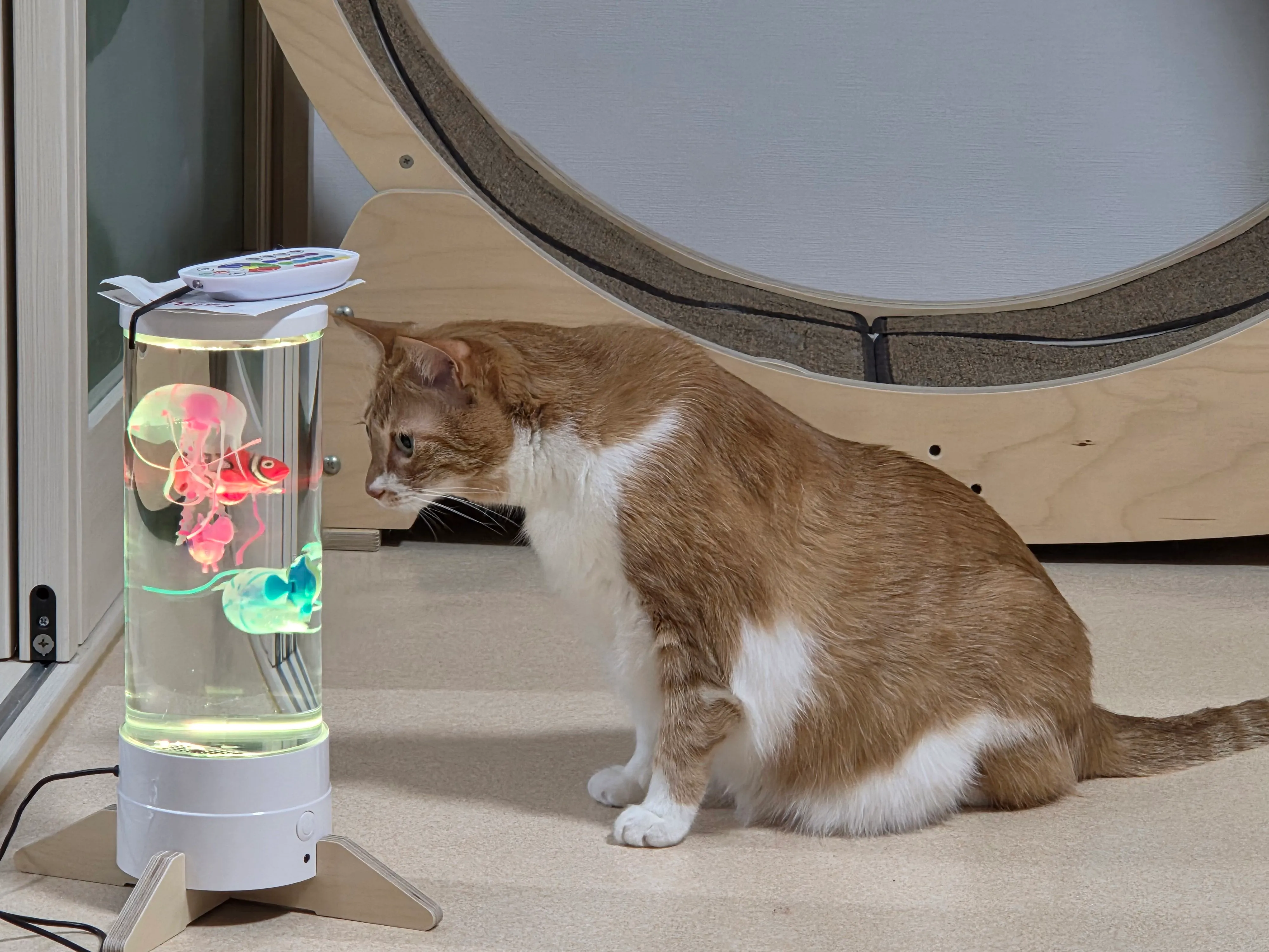 베스트 후기 이미지