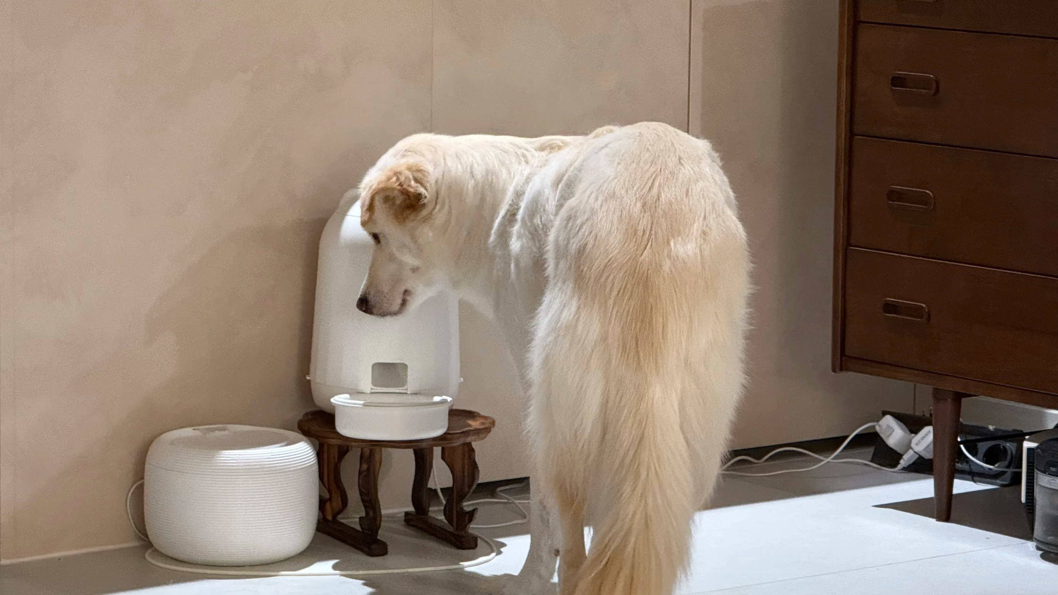 베스트 후기 이미지