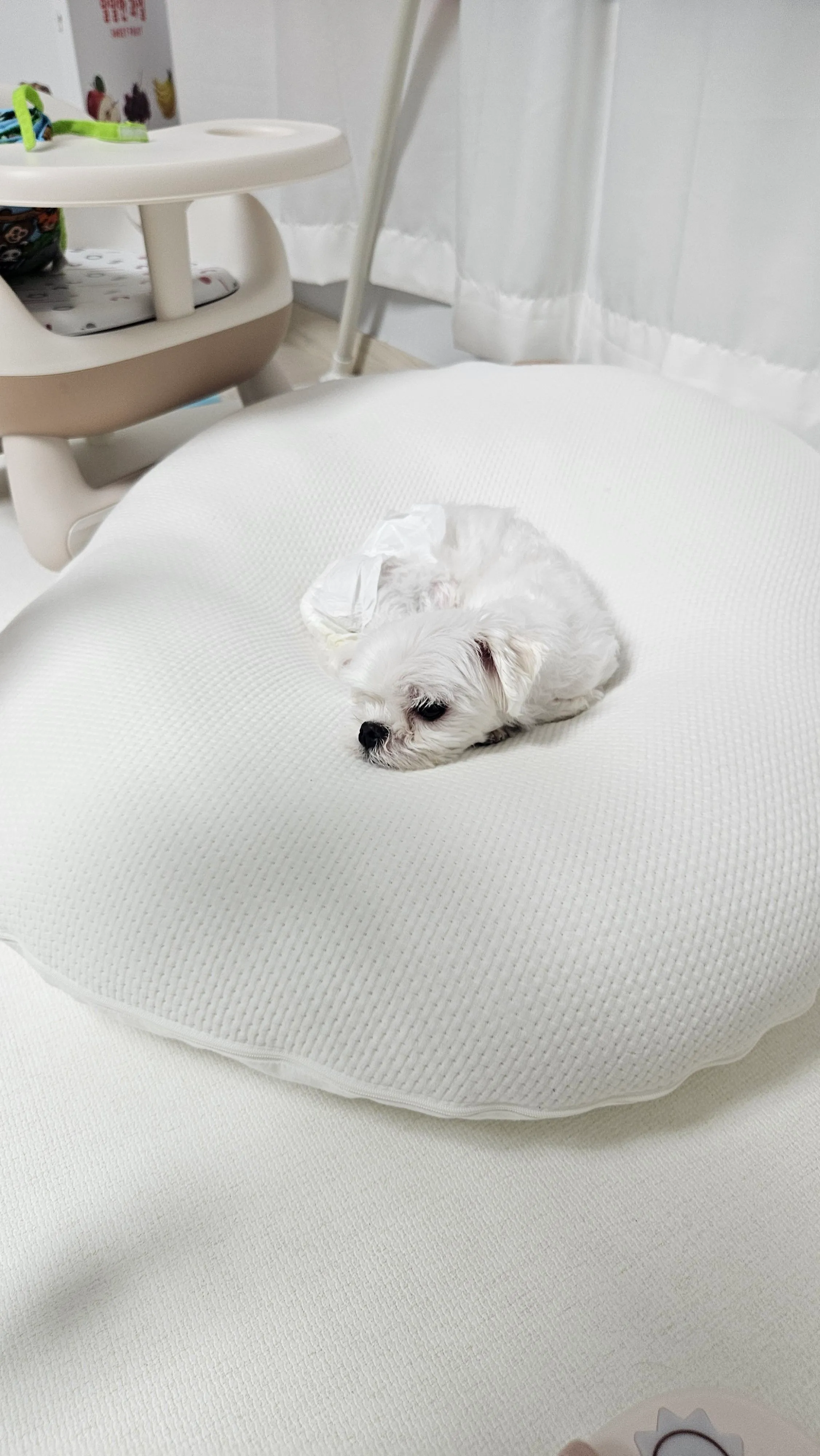 베스트 후기 이미지