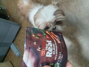 [체험단]  더리얼 독 로우 닭고기 어덜트 50g 베스트 후기 이미지